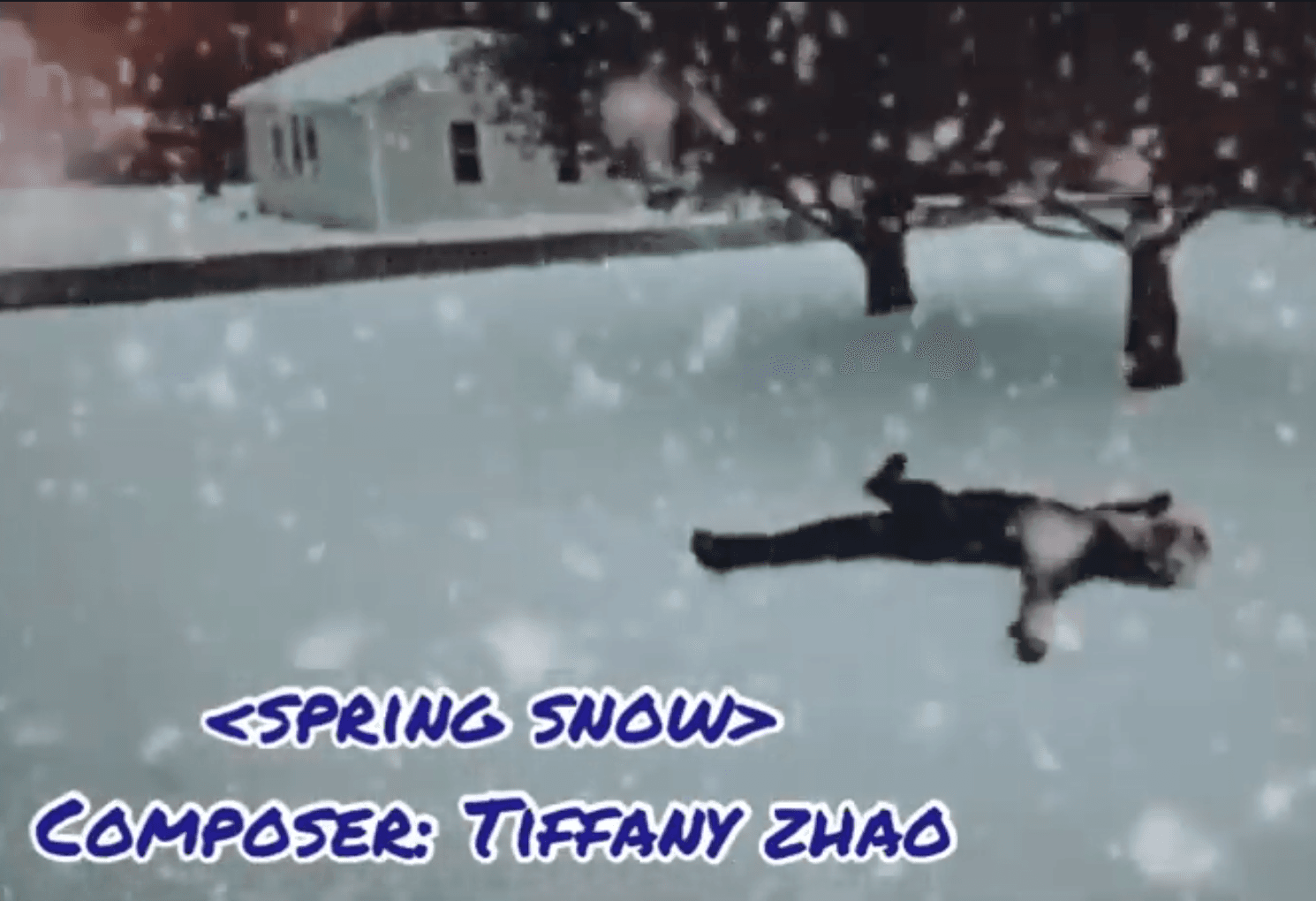 Spring Snow